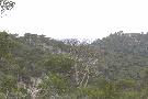 gal/Saison 2011/En_route_vers_le_Mont_Faron/_thb_IMG_9747.JPG